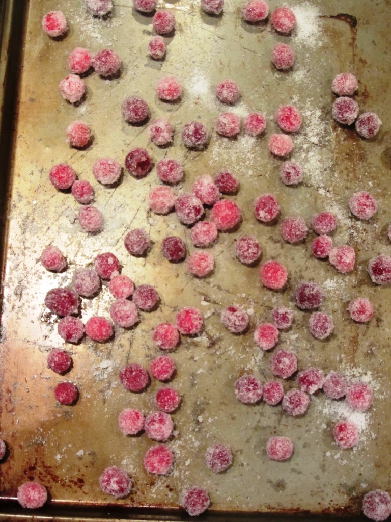 Place on a baking sheet to let them dry for one hour. Btw, I did a poor job removing sugar clumps...whoops!
